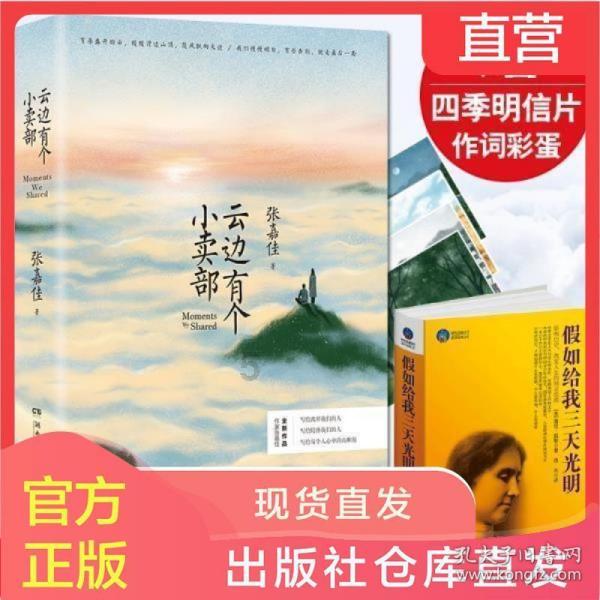 资阳区桥北大市场新春年货节开启